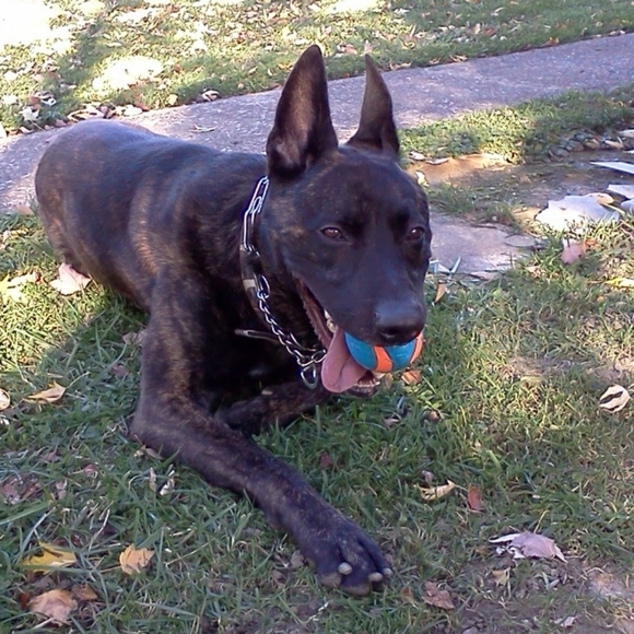 Meet your Posher - Picture 5 of 7